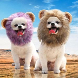 Cat Costumes Lion Mane pruik voor honden- en kostuumkatten Halloween Christmas Party Fancy Hair Cap kleine huisdierkleding accessoires