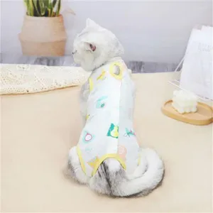 Costumes pour chats, ingrédients naturels, costume de stérilisation pour chien, combinaison ample, impression écologique, artisanat réactif et teinture