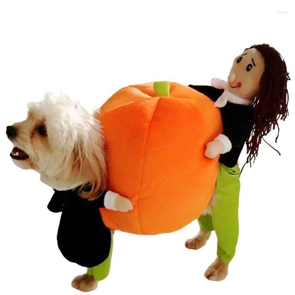 Costumes de chat Netizen même chien personnalité drôle 3D dessin animé épaissi Protection contre le froid et chaleur levage citrouille vêtements mignons