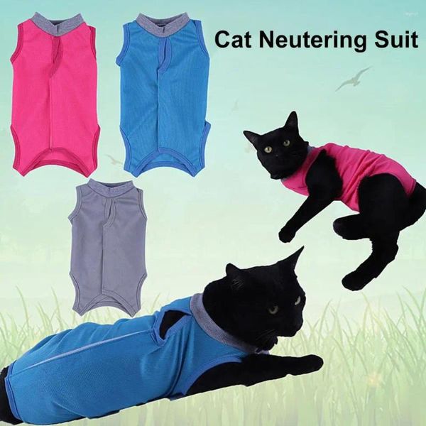 Costumes pour chats, combinaison de stérilisation, récupération confortable, vêtements Post-protection réglables, fournitures Pey