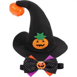 Costumes pour chats, accessoires pour animaux de compagnie, Kit de robe pour chats, Costume de jeu de rôle pour chiens, accessoires de fête pour chiots, Halloween Cosplay en Polyester