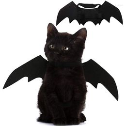 Cat Costumes Pet Bat Wings For Halloween Party Decoration Puppy Kraag leidt cosplay kostuum schattige kledingaccessoires