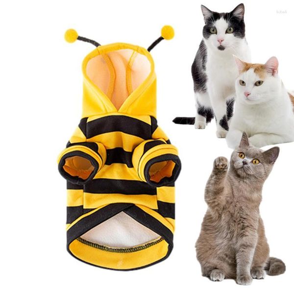 Disfraces de gato Disfraz de abeja para mascotas Sudaderas con capucha para perros Cachorro Abrigo lindo Trajes de Navidad Ropa divertida para gatito mediano