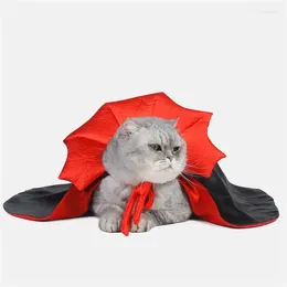 Cat costumes Pet Cape Hat Rôle jeu Vampire Robe Tendance Accessoires Puppy Halloween Vêtements