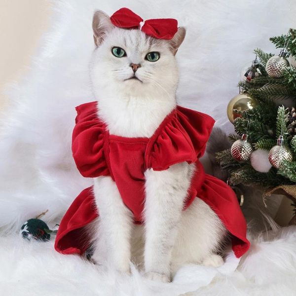 Costumes de chat pour animaux de compagnie, jupe de noël, automne et hiver, vêtements pour chiens, robes pour petits et moyens chiens, accessoires