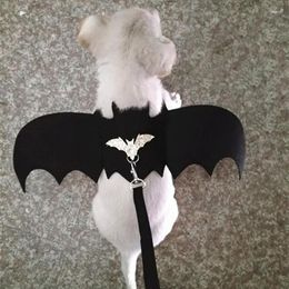 Costumes de chat, vêtements pour animaux de compagnie, ailes de chauve-souris, Costume de chien amusant, aile artificielle, accessoire de Cosplay, fournitures d'Halloween