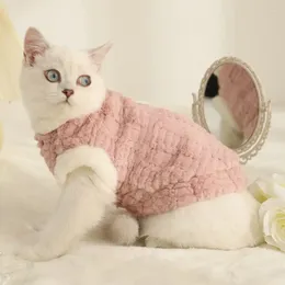 Costumes de chat vêtements pour animaux de compagnie plus moelleux d'hiver chaud couche de marionnette de marionnette chaton de deux pieds