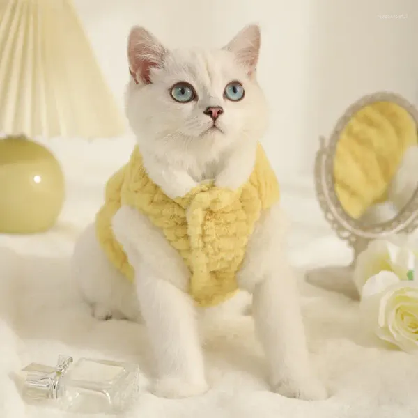 Costumes de chat cotolesalhes plus en velours pour garder au chaud et empêcher les cheveux de la couche d'hiver de l'hiver