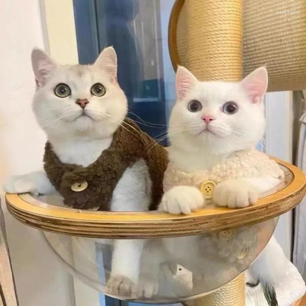 Costumes de chat manteau pour animaux de compagnie, gilet de chien mignon chaud en fourrure d'agneau et vêtements en tissu poupée Teddy Bom automne hiver