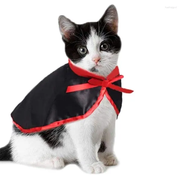 Disfraces de gato disfraz de mascota sombrero divertido capa de vampiro fiesta Cosplay accesorios de vestir suministros lindo Dropship