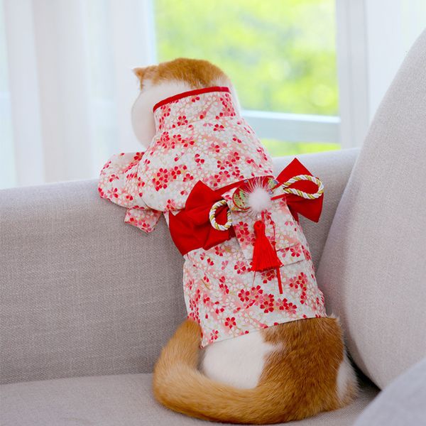 Costumes de chat Vêtements pour chiens de compagnie Exquis petit Kimono japonais à fleurs Vêtements pour chiens Arc Jupe pour animaux de compagnie Quatre saisons disponibles pour les petits chiens 220908