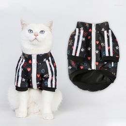 Le chat costumes le gilet de chien de compagnie habille la conception confortable et chaude de rupture