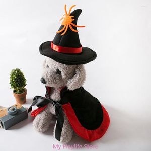 Costumes de chat pour animaux de compagnie, Costume de fête d'halloween, chapeau de sorcière, cape, vêtements pour chiot, accessoires de Cosplay