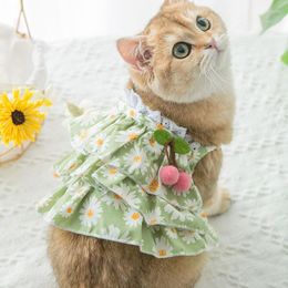 Katkostuums huisdierjurk voor honden katten zomer bloemen bessen rok zoete mode outfit hondenkleding kleine chihuahua