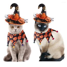 Cost Costumes pour animaux de compagnie Dog Halloween Pumpkin Scarf Hawaiian Wizard Hat