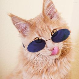 Cat Costumes Pet Glasses Dog Product voor Little Toy Eye Wear Vintage Sunglasses POS POS-rekwisieten Accessoires