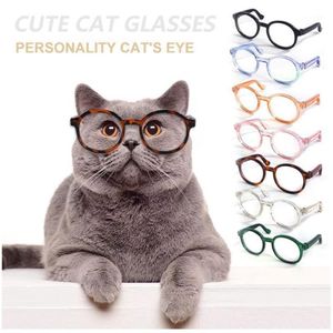 Costumes pour chats, lunettes pour animaux de compagnie, chien Teddy, personnalité, accessoires d'halloween amusants, en plastique Transparent, fournitures de décoration mignonnes, 270g