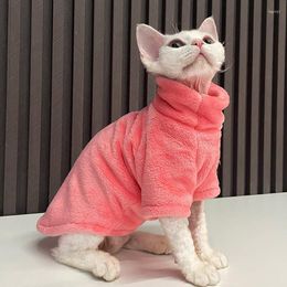 Costumes de chat vêtements sans poils pour animaux de compagnie automne et hiver fond de teint en velours de vison fournitures chaudes et confortables pour chiens