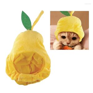 Kat kostuums huisdier Halloween cosplay hoed voor honden schattig peervorm pluche leuk Pography