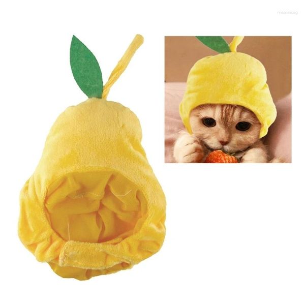 Costumes de chat pour animaux de compagnie, chapeau de Cosplay d'halloween pour chiens, mignon en forme de poire, en peluche, photographie amusante