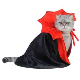 Cat Costumes Pet Halloween Cosplay Cosplay Cloak Festief pak grappig Kawaii Transformatie Cape Kitten Puppy Accessoties items 220920
