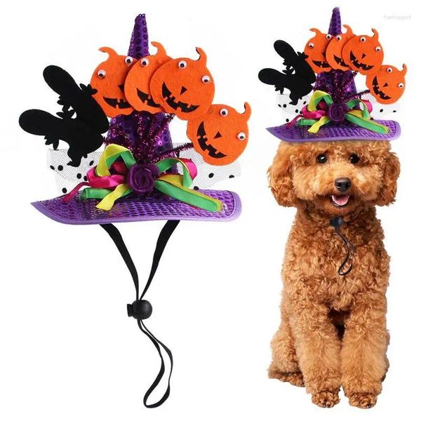 Costumes de chat pour animaux de compagnie, chapeau d'halloween pour chien et Bandana, déguisement avec motif de citrouille de chauve-souris pour chiens et chats