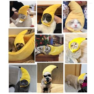 Costumes de chat chapeau pour animaux de compagnie forme de banane couvre-chef drôle accessoires de chiot couvre-chef de chien Costume Pograph chaton fournitures