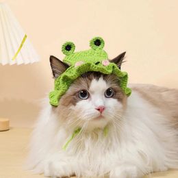 Costumes de chat chapeaux tricotés pour animaux de compagnie pour chats et chiens accessoires Cospaly coiffure grenouille mignon Cross-dressing