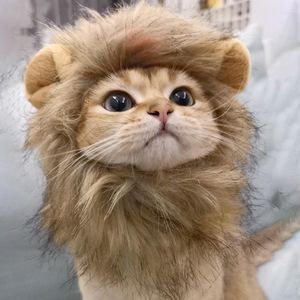 Cat Costumes Pet Lion Costume Fashion Lovely Lions Mane Wig For Halloween Christmas Party Dress Up Fancy Cosplay