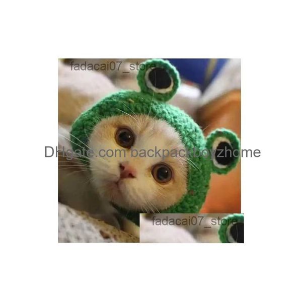 Costumes de chat Pet Nouvel An Décoration Mignon Chapeau Petite Grenouille Tournesol Tricoté Oreilles Ouvertes Cadeau Pastoral Cosplay Vêtements Drop Livraison Dhnc1