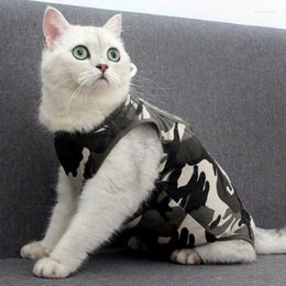 Costumes de chat vêtements de protection pour animaux de compagnie gilet Anti-léchage costume de récupération professionnel pour les plaies abdominales maladies de la peau après usure