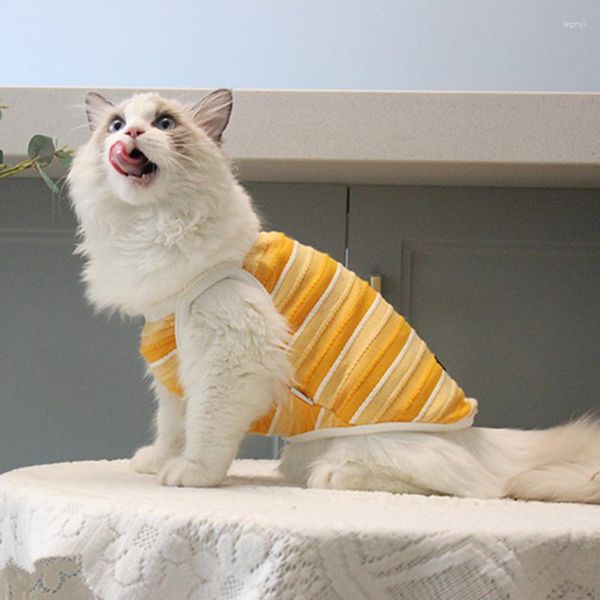 Costumes de chat pour animaux de compagnie, débardeur rayé printemps/été anglais, couche progressive courte, marionnette anti-poils, mince et libre d'enlever les vêtements de chaton