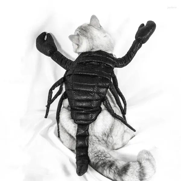 Costumes de chat, fournitures pour animaux de compagnie, vêtements d'halloween COSPLAY Scorpion se transforme en fêtes, accessoires de vêtements amusants