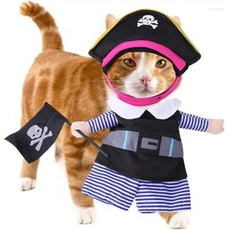 Cost Costumes Pirate Portable Caribbean Style Cosplay Party Party avec chapeau Halloween Apparel Vêtements pour chiens