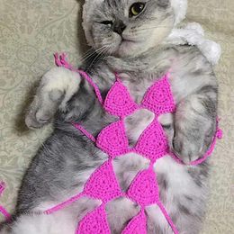 Trajes de gato pogross accesorios divertidos de sujetador y ropa interior de mascotas