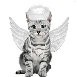 Costumes de chat POPETPOP Halloween ailes d'ange forme Costume pour animaux de compagnie vêtements de relooking fantaisie Cosplay fournitures pour noël