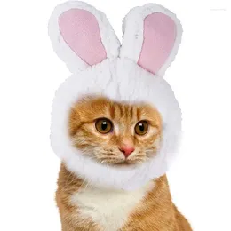 Costumes de chat lapin chien chapeau Costume drôle nouveauté réglable doux Adorable créatif animal de compagnie Cosplay habiller fête d'halloween