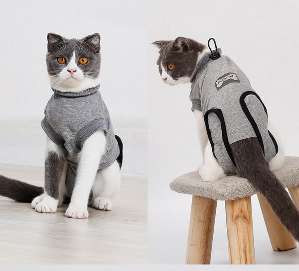 Costumes de chat costume de récupération blessures abdominales et maladies de la peau professionnel après chirurgie pour petits chats moyens Kittey