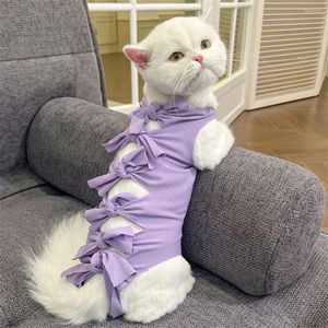 Cost Costumes Recovery Suit Professionnel pour les femmes chats mâles Pyjon Pybandais Puppies de cache-monnaie