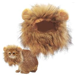 Costumes de chat crinière de lion sûre et non toxique facteur de gentillesse pour animaux de compagnie facile à porter chapeau avec oreilles