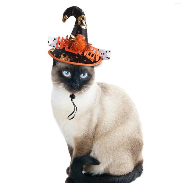 Conjunto de disfraces de gato de 4 ropa de arnés ajustable, vestido malvado, sombrero de bruja decorativo, traje de Cosplay de mascota de Halloween para accesorios Po