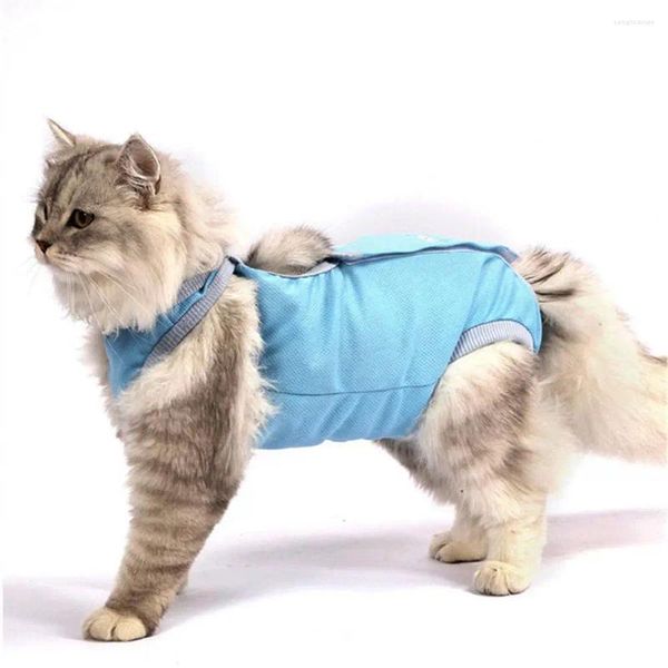 Disfraces para gatos Camisa Textura suave Prevención de seguridad Tela esterilización Recuperación Gatito Traje Accesorios para mascotas