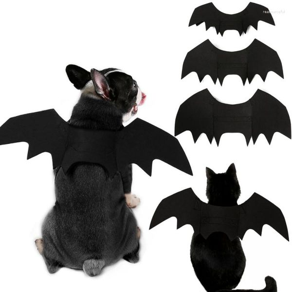 Costumes de chat en peluche, aile de chauve-souris, Costume de chiot, Costume de chaton à thème sombre, vêtements effrayants pour animaux de compagnie, fournitures de fête d'halloween