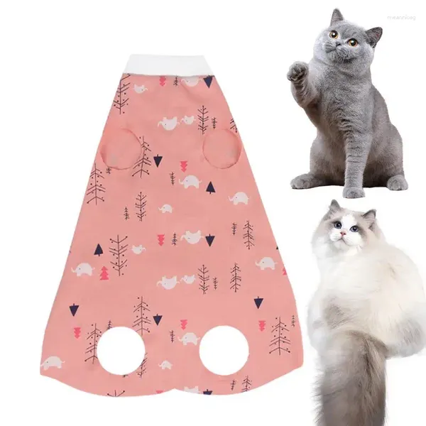 Costumes de chats Signifiez la grenooleur Colaire confortable en ligne alternative stérilisée Bodys Pure pleine pour la femme