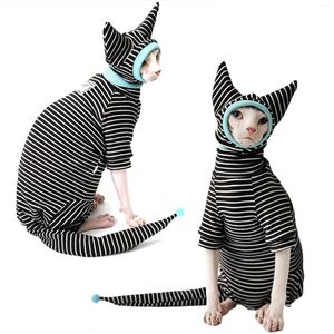 Costumes de chat Sphinx, pull à quatre pattes, en coton hautement élastique, vêtements Devon, tenue d'automne et d'hiver pour chaton sans poils