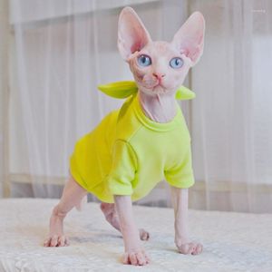 Katkostuums Sphynx hondenkleding bowknot hoodie zachte puppy outfit kitten jas kleding haarloze katten vest huisdieren t -shirt voor kleine honden