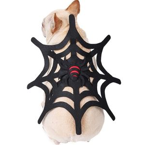 Costumes de chat Toile d'araignée Vêtements pour animaux de compagnie Drôle Halloween Noël Chien Événements festifs Ornements 220920