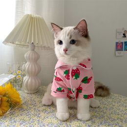 Katkostuums Spring Cat Kostuum Leuke gezellige huisdierkleding voor katten Katten Kedi Hoodie Mascotas Gato Sweatshirt Cat Sweater Pets voor kleding Outfit 220908