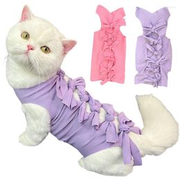 Costumes de chat costumes de stérilisation chiot chaton chaton sevrage des plaies anti-légers ou maladies cutanées vêtements de récupération après les soins aux animaux de compagnie