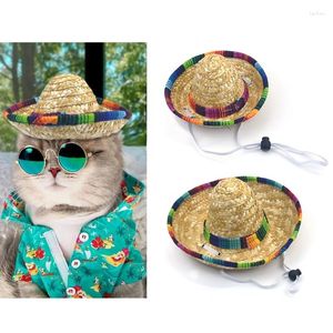Disfraces de gato tejido de paja sombrero de estilo mexicano para perros fiesta traviesa de verano mascota a prueba de sol con correa ajustable para el cuello